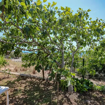 דירה With Parking Space Zecevo Rtic, - 25680 *